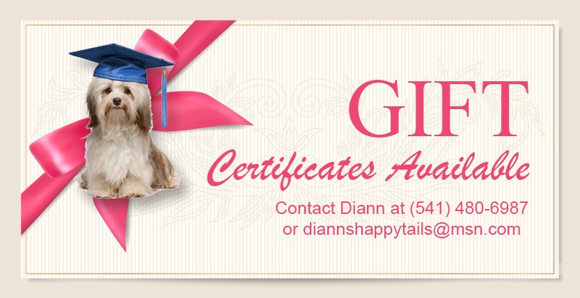 gift certificate